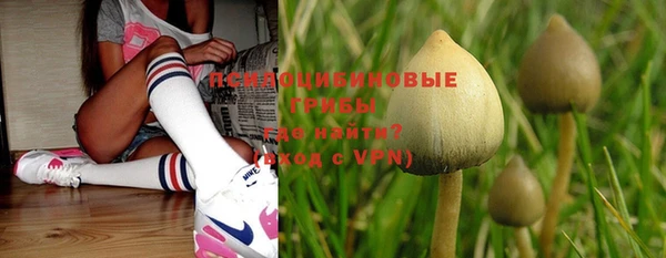 ГАЛЛЮЦИНОГЕННЫЕ ГРИБЫ Видное