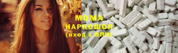 стаф Новокубанск