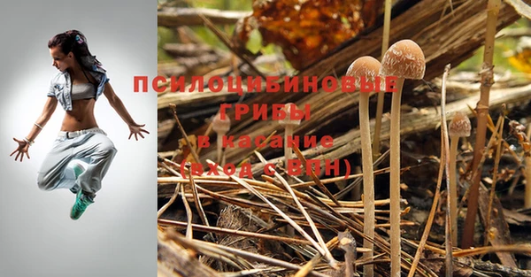 прущий лед Ветлуга