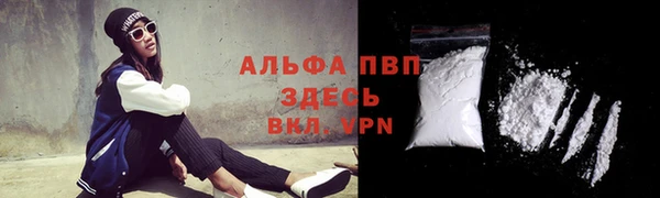 гидра Нея