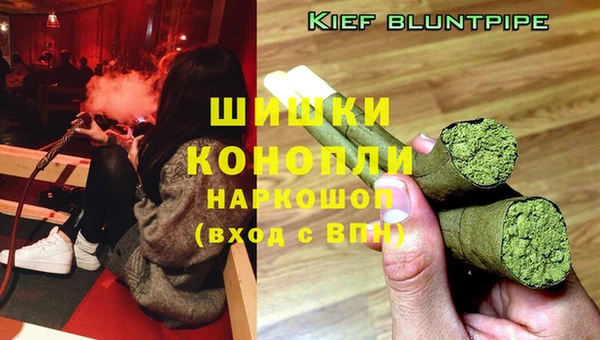СК Весьегонск