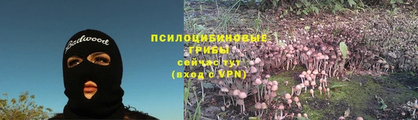 прущий лед Ветлуга